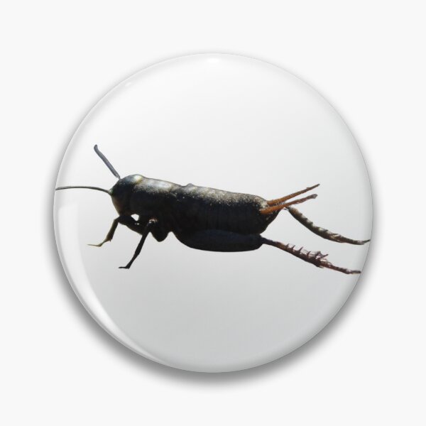 Item preview, Criky the lucky cricket  designed and sold by Marmarisme.