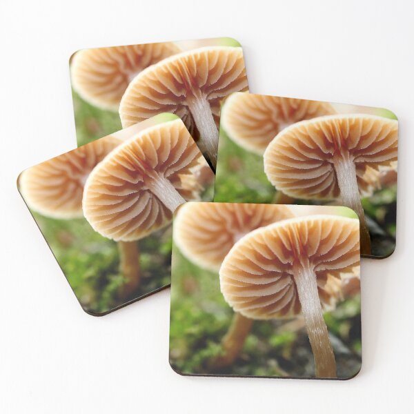 Item preview, Toadstool  designed and sold by Fairoak.