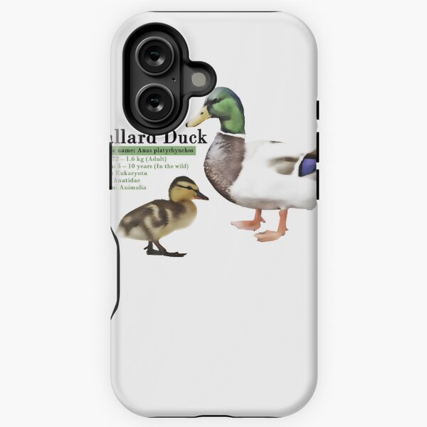 Item preview, Mallard Duck Infographic designed and sold by N0-Spaces.