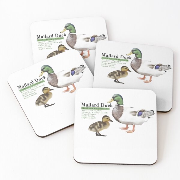 Item preview, Mallard Duck Infographic designed and sold by N0-Spaces.