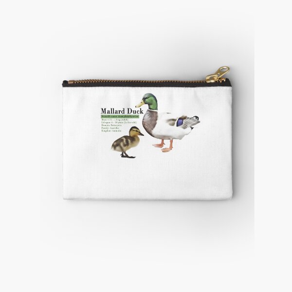Item preview, Mallard Duck Infographic designed and sold by N0-Spaces.