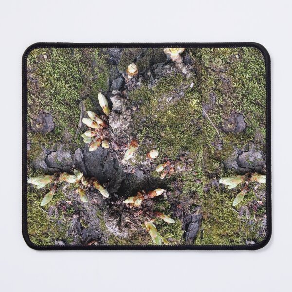Artikelvorschau, Frühling, Blattknospen, grünes Moos entworfen und verkauft von colorgallery11.