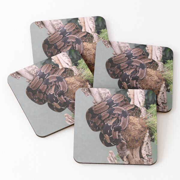 Item preview, Sneaky snake designed and sold by Marmarisme.