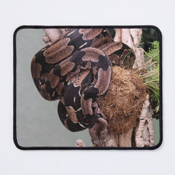 Item preview, Sneaky snake designed and sold by Marmarisme.