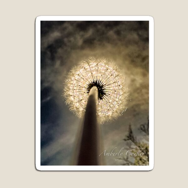 Item preview, Dandelion Eclipse designed and sold by Amber Corker.