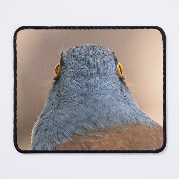 Item preview, All Seeing Yellow Eyed designed and sold by DWMMPhotography.