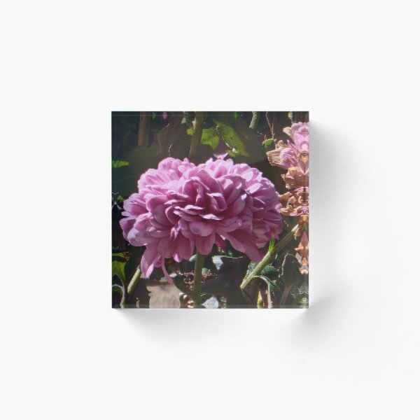 Item preview, Flor designed and sold by NBCJDesigns.