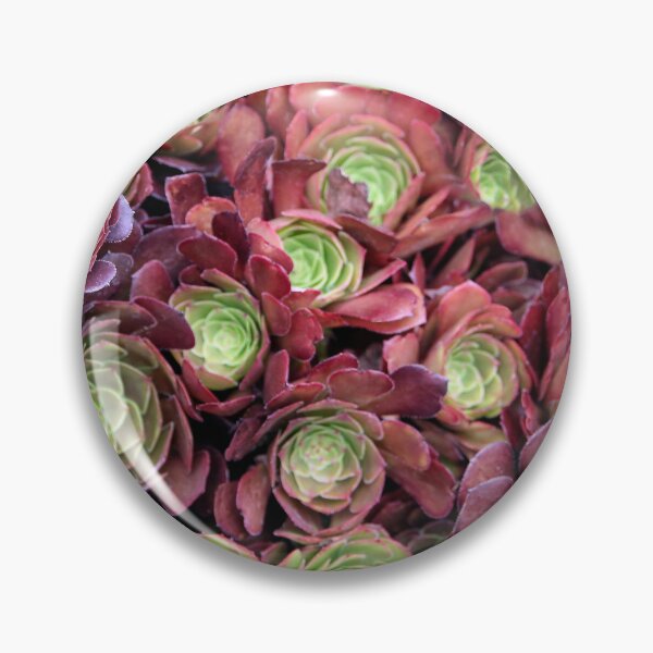 Item preview, Succulent Glory  designed and sold by heatherfriedman.