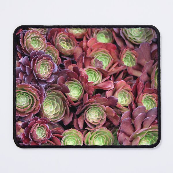 Item preview, Succulent Glory designed and sold by heatherfriedman.