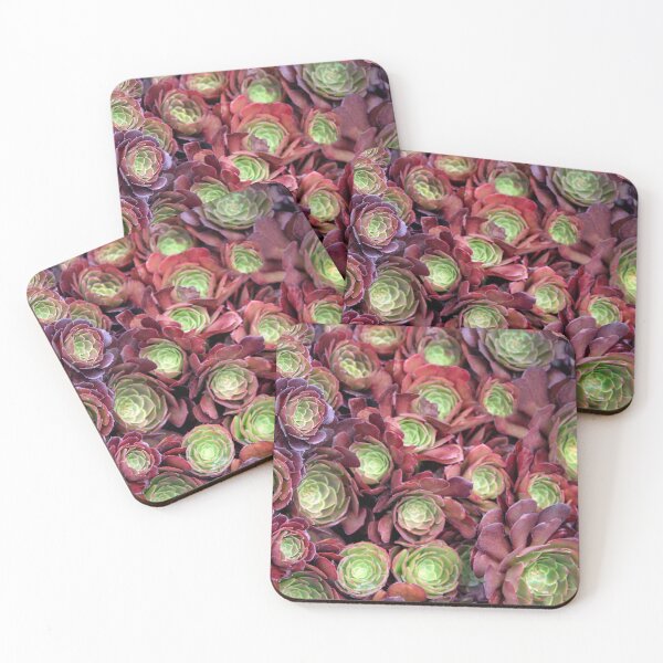 Item preview, Succulent Glory  designed and sold by heatherfriedman.