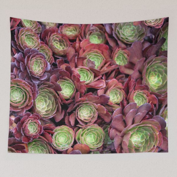 Item preview, Succulent Glory  designed and sold by heatherfriedman.