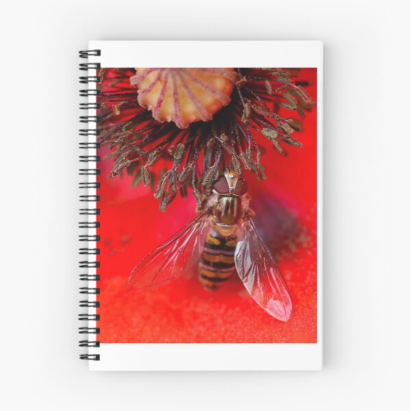 Item preview, Syrphus ribesii or Common Hoverfly designed and sold by Fairoak.