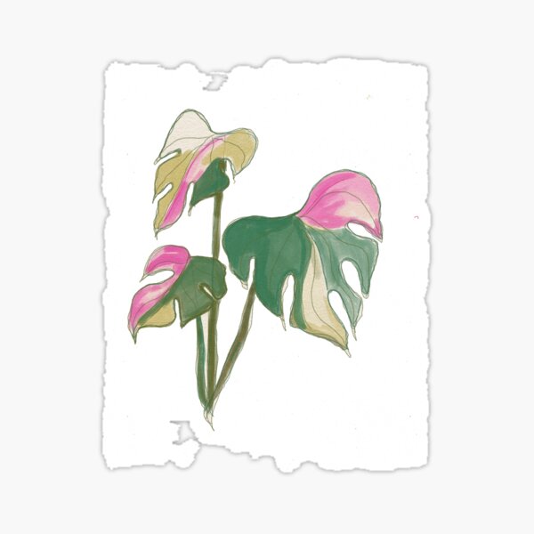 Monstera Pink girl Sticker
