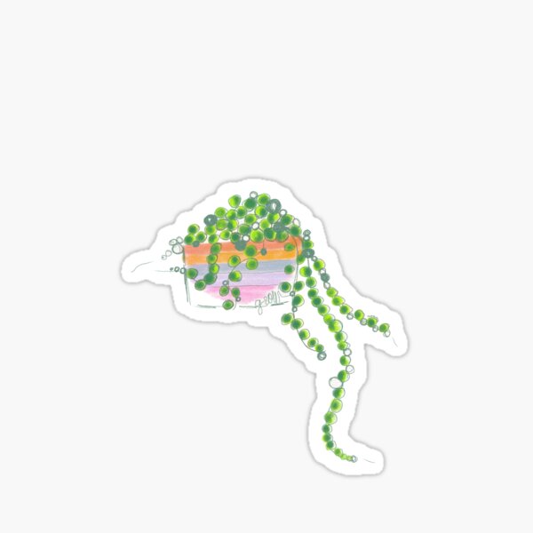 String of pearls Sticker