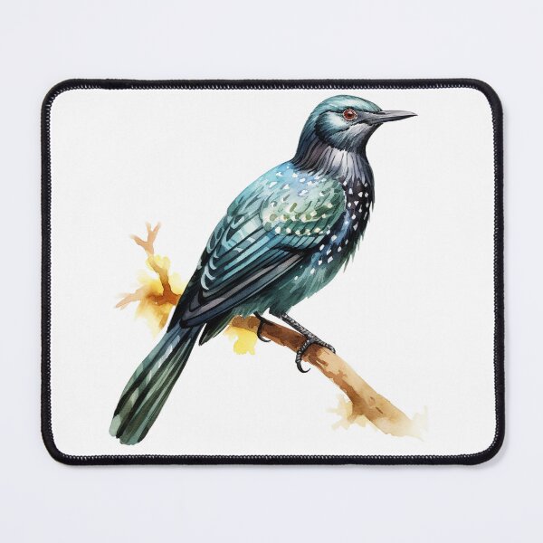 Item preview, Asian Koel designed and sold by DavidBriot.