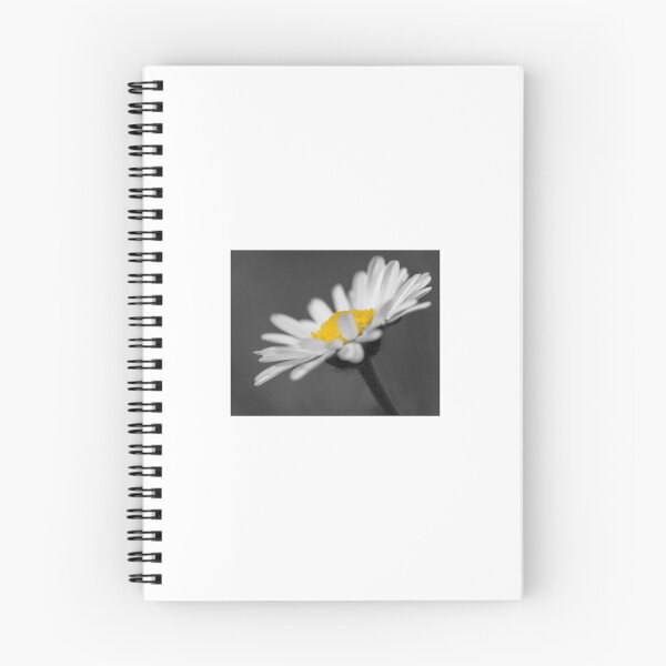 Artikelvorschau, Gänseblümchen oder Bellis Perennis entworfen und verkauft von Fairoak.