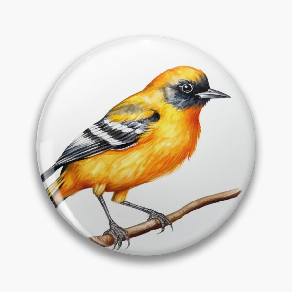 Item preview, Baltimore Oriole designed and sold by DavidBriot.