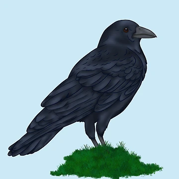 Artwork thumbnail, Crow by RedPanda Mac