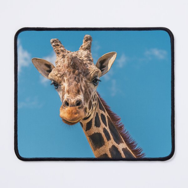 Item preview, Gentle Giant: Portrait of a Giraffe designed and sold by Vsaditya2020.