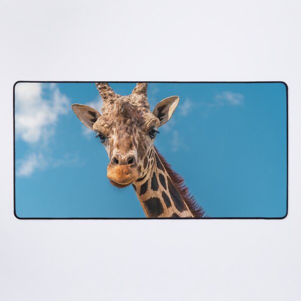 Item preview, Gentle Giant: Portrait of a Giraffe designed and sold by Vsaditya2020.