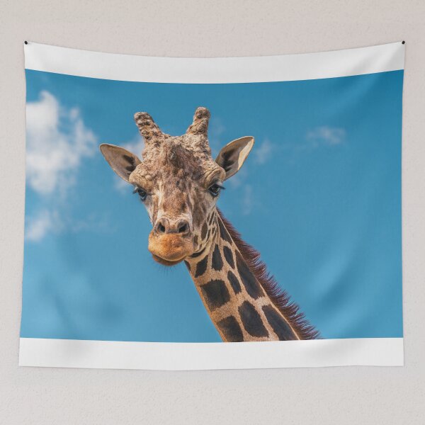 Item preview, Gentle Giant: Portrait of a Giraffe designed and sold by Vsaditya2020.