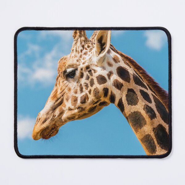 Item preview, Gentle Giant: Portrait of a Giraffe designed and sold by Vsaditya2020.