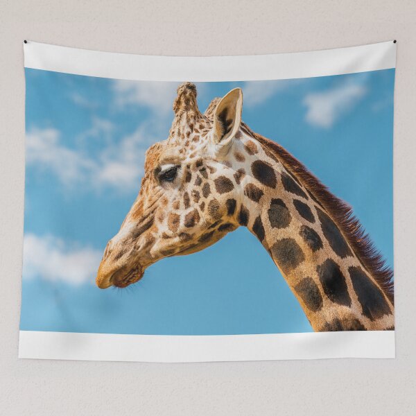 Item preview, Gentle Giant: Portrait of a Giraffe designed and sold by Vsaditya2020.
