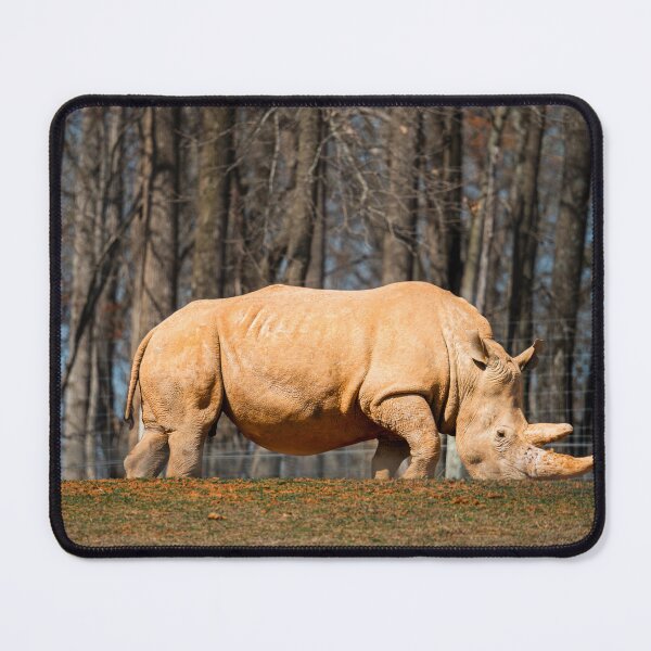 Item preview, Grazing Giant: A White Rhino in the African Savanna designed and sold by Vsaditya2020.