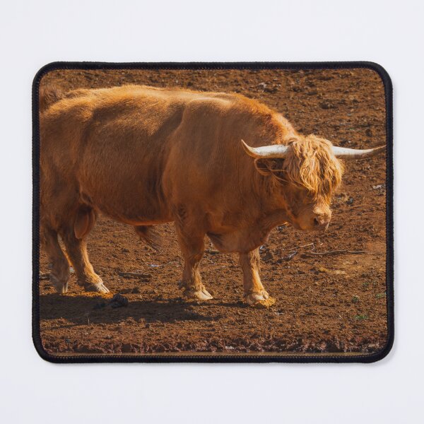 Item preview, Majesty in the Mist: A Highland Cow Portrait designed and sold by Vsaditya2020.
