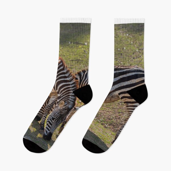 Item preview, Majestic zebras roam freely across designed and sold by Vsaditya2020.
