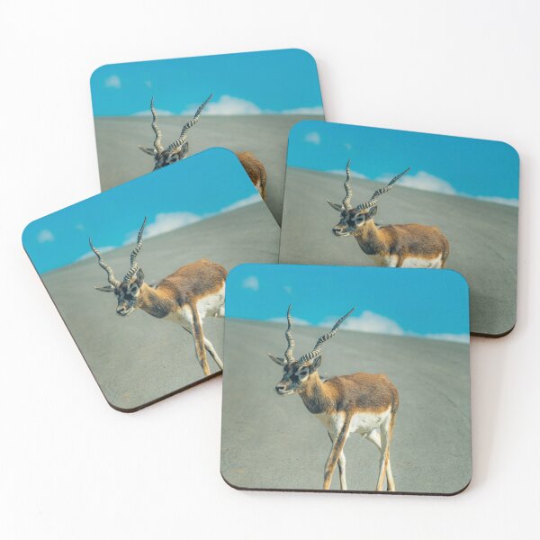 Item preview, Majestic Blackbuck in Golden Light designed and sold by Vsaditya2020.