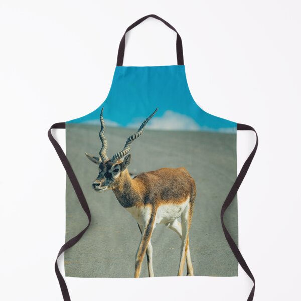 Item preview, Majestic Blackbuck in Golden Light designed and sold by Vsaditya2020.