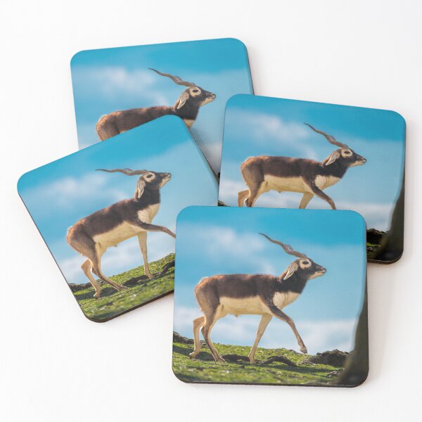 Item preview, Majestic Blackbuck in Golden Light designed and sold by Vsaditya2020.