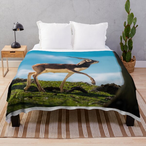 Item preview, Majestic Blackbuck in Golden Light designed and sold by Vsaditya2020.
