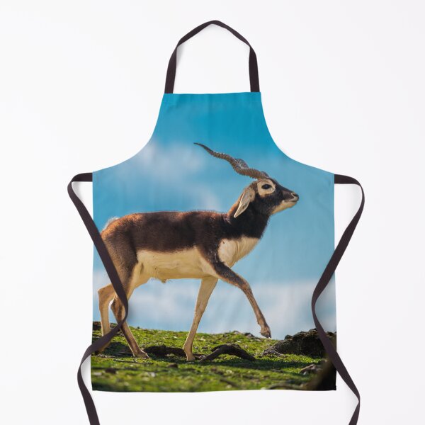 Item preview, Majestic Blackbuck in Golden Light designed and sold by Vsaditya2020.
