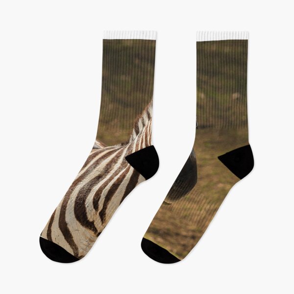 Item preview, Majestic zebras roam freely across designed and sold by Vsaditya2020.