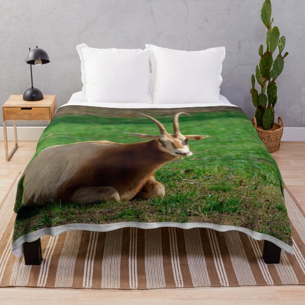 Item preview, Majestic Oryx Antelope Grazes in the African Savannah designed and sold by Vsaditya2020.