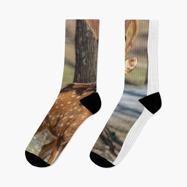 Item preview, A majestic chital deer, bathed in soft sunlight, stands alert in a clearing of a lush green forest. designed and sold by Vsaditya2020.