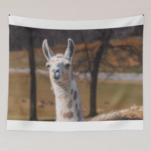Item preview, Unexpected Encounter: Alpaca in Lush Greenery designed and sold by Vsaditya2020.