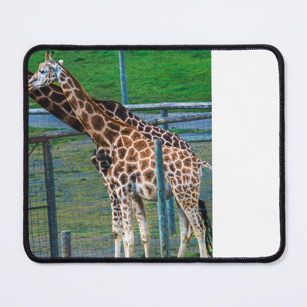 Item preview, Gentle Giant: Portrait of a Giraffe designed and sold by Vsaditya2020.