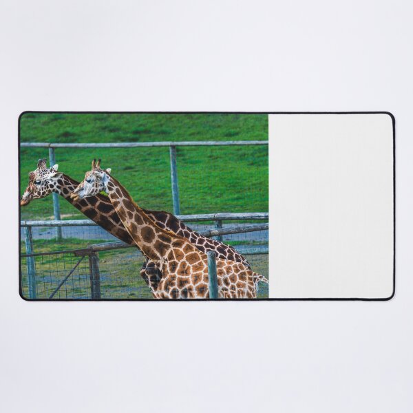 Item preview, Gentle Giant: Portrait of a Giraffe designed and sold by Vsaditya2020.