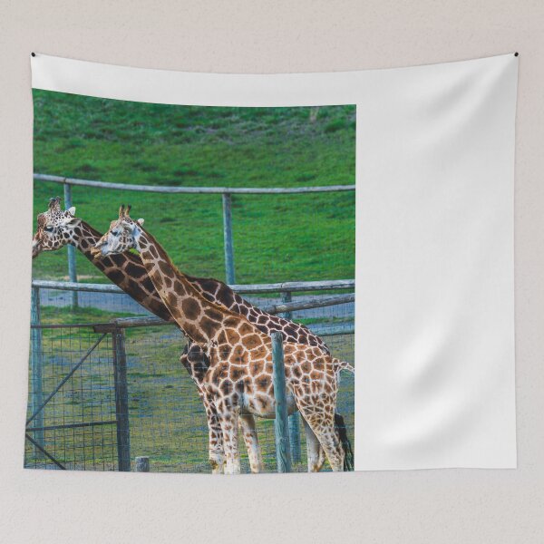 Item preview, Gentle Giant: Portrait of a Giraffe designed and sold by Vsaditya2020.