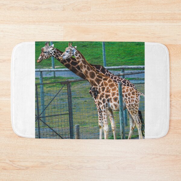 Item preview, Gentle Giant: Portrait of a Giraffe designed and sold by Vsaditya2020.
