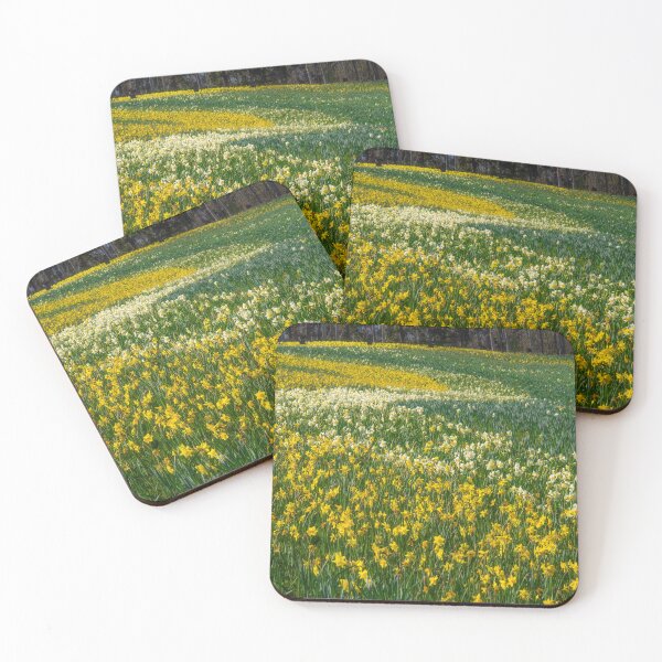 Item preview, Daffodils Field designed and sold by Alla Gill.