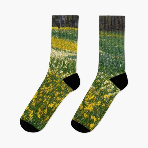 Item preview, Daffodils Field designed and sold by Alla Gill.