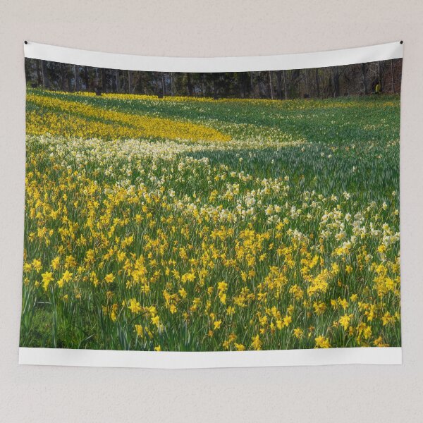 Item preview, Daffodils Field designed and sold by Alla Gill.