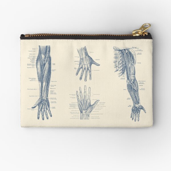 Item preview, Complete Arm and Hand Diagram designed and sold by VAposters.