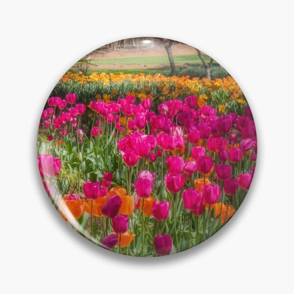 Artikelvorschau, Blumenbeet entworfen und verkauft von Alla Gill.