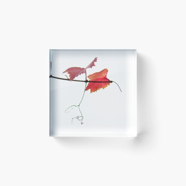 Item preview, vine calligraphy designed and sold by nadine henley.