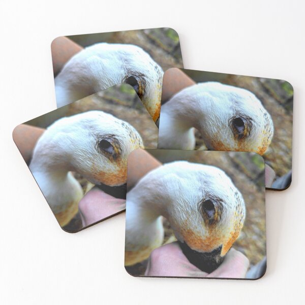 Item preview, Duckling  designed and sold by ontological.